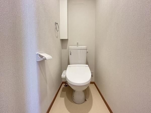 �y�g�C���z�@