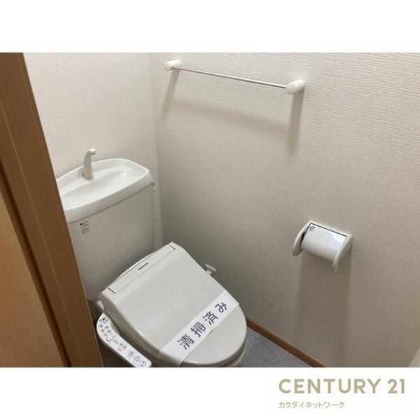 �y�g�C���z�@