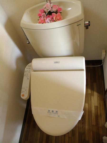 �y�g�C���z�@