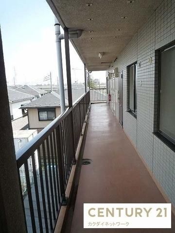 �y���̑����L�����z�@