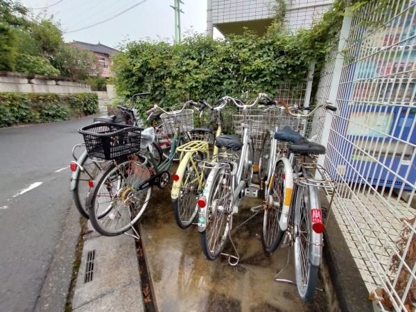 �y���̑����L�����z�@