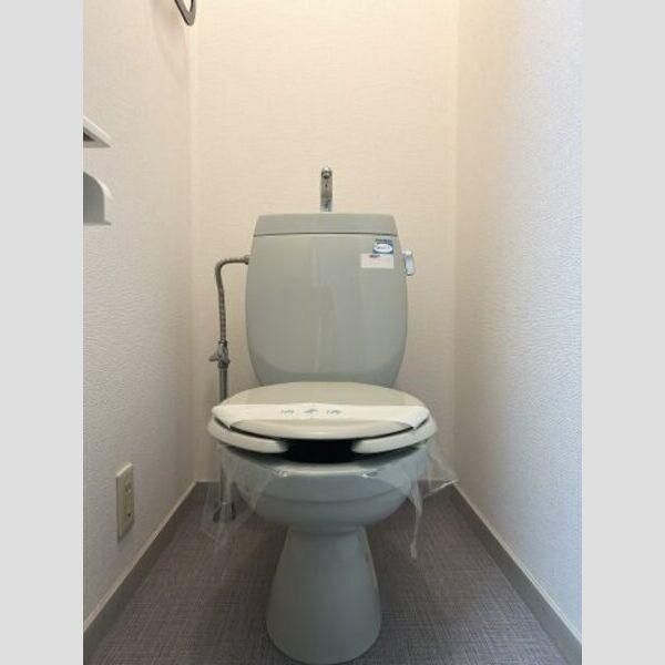 �y���̑��z�@�g�C��