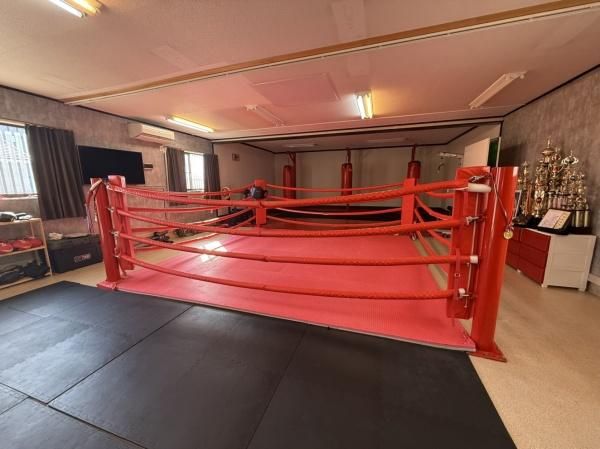 �y���̑��z�@