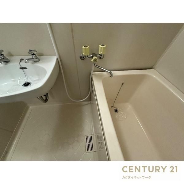 �y�o�X�z�@