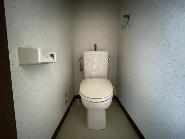 �y�g�C���z�@