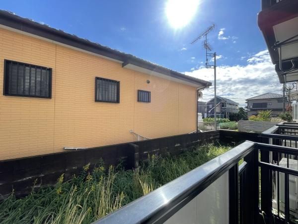 �y���]�z�@