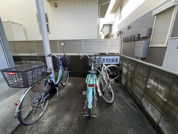 �y���̑����L�����z�@