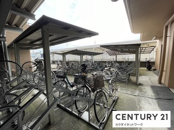 �y���̑����L�����z�@