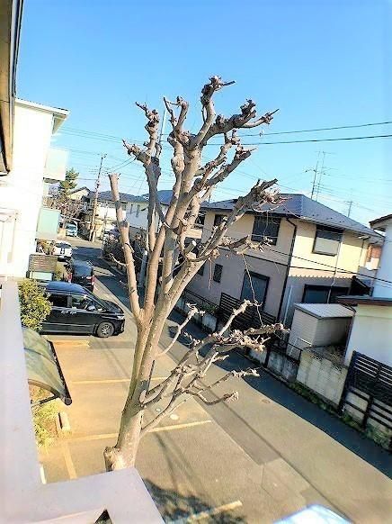 �y���]�z�@