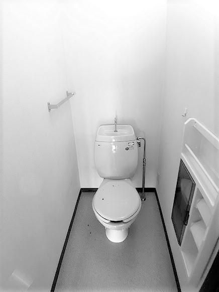 �y�g�C���z�@