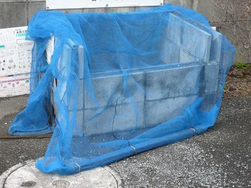 �y���̑����L�����z�@