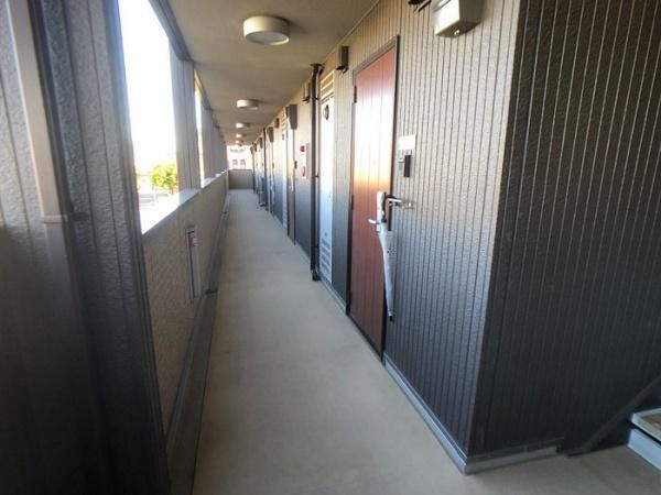 �y���̑����L�����z�@