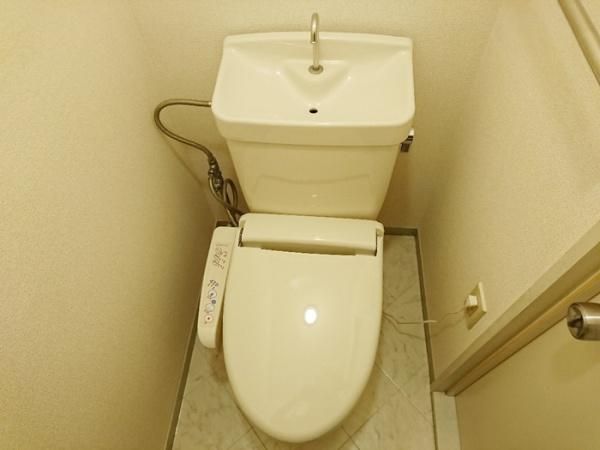 �y�g�C���z�@