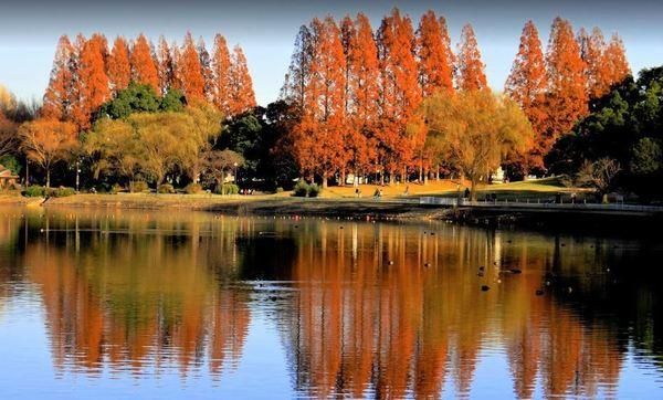 �y���Ӂz�@