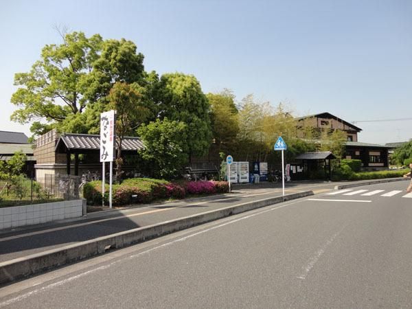 �y���Ӂz�@�X�̂����炬�Ȃ��݁@�k��15��