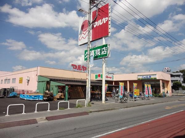 �y���Ӂz�@�}�����v�쓌�X�@�k��8��